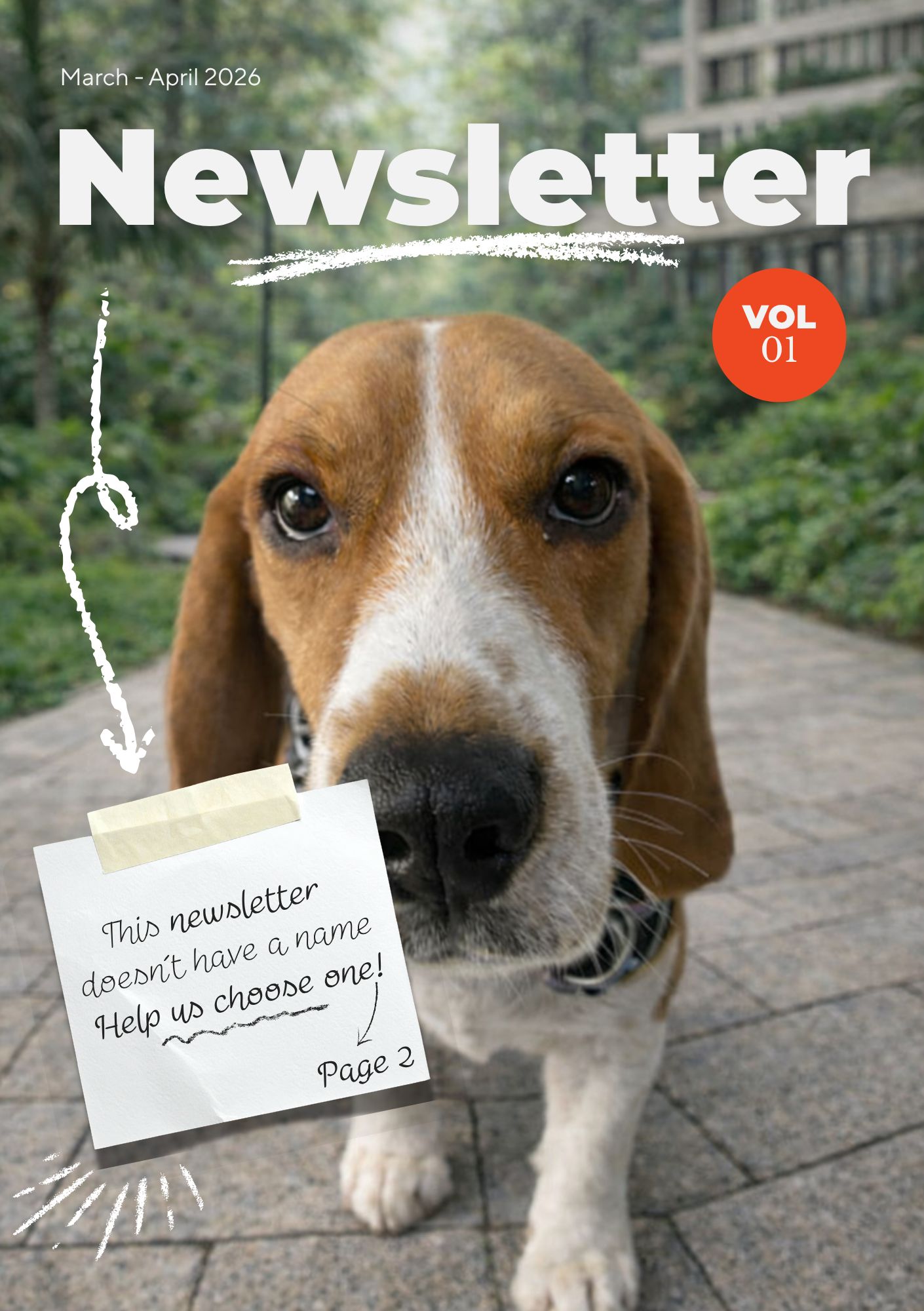 Newsletter 1